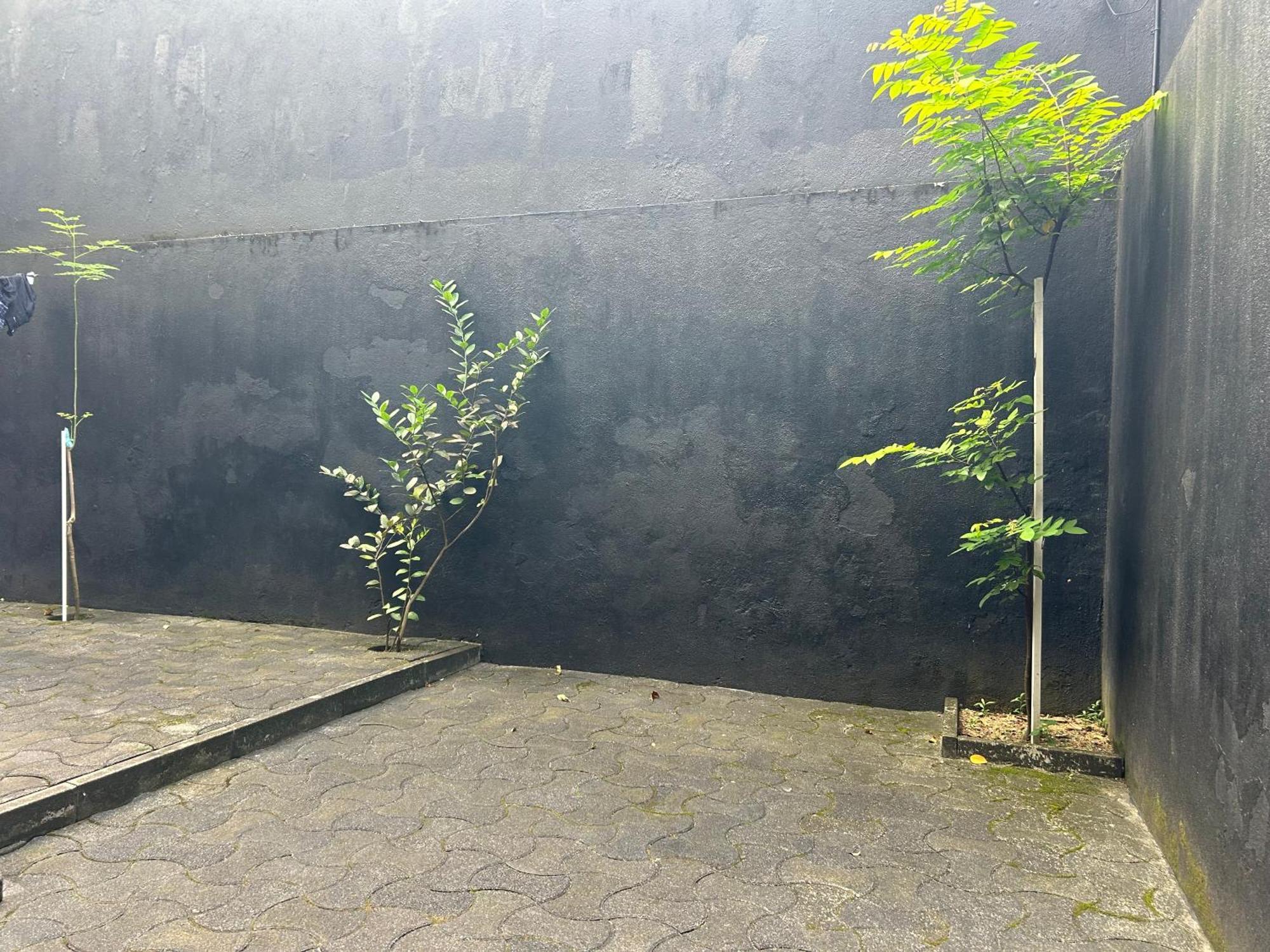 Occazia * Colombo